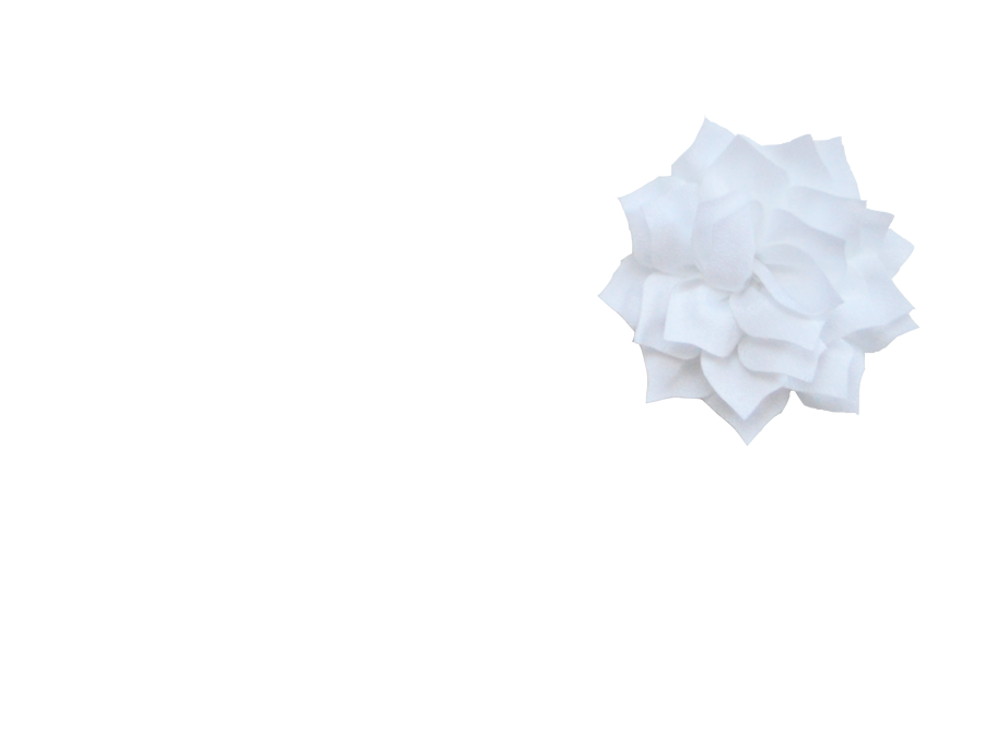 Fleur lotus blanc