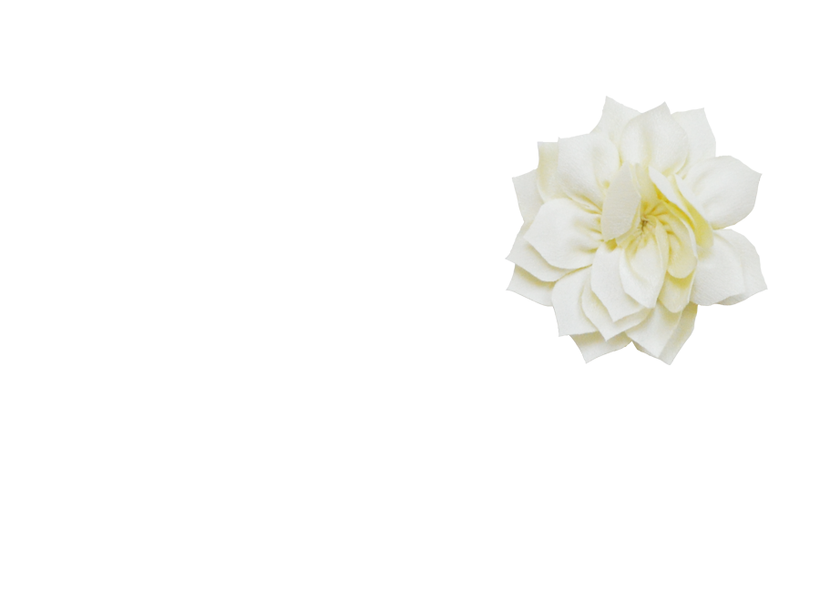 Fleur lotus vanille
