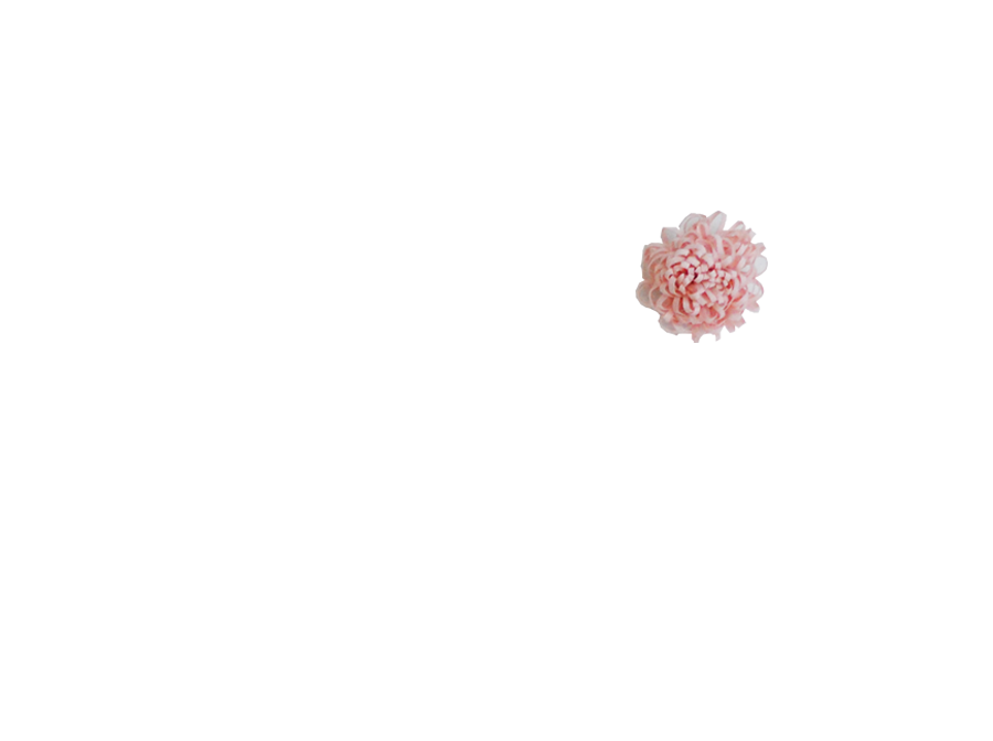Fleur pompon rose poudrée